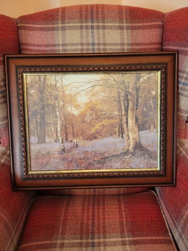 Bluebell woods framed print - bluebell,