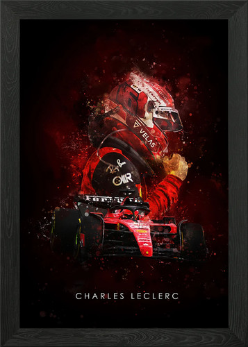 Framed wall art - f1,