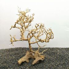 Driftwood Tree Aquarium Fish