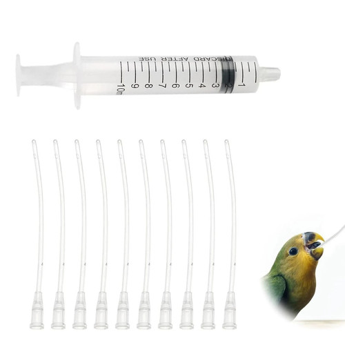 Baby bird feeding syringe - bird,