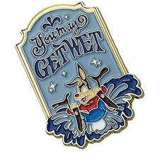 Splash Mountain You May Get