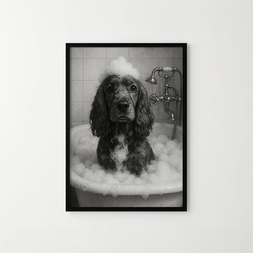 Cocker spaniel the bath - in,