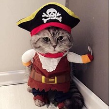 Halloween Pet Dog Cat Pirate