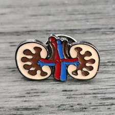 Kidney Anatomy Enamel Pin –