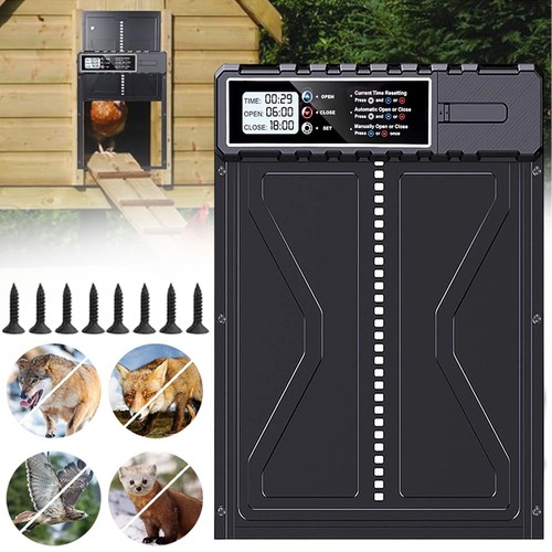 Automatic chicken coop door - chicken,