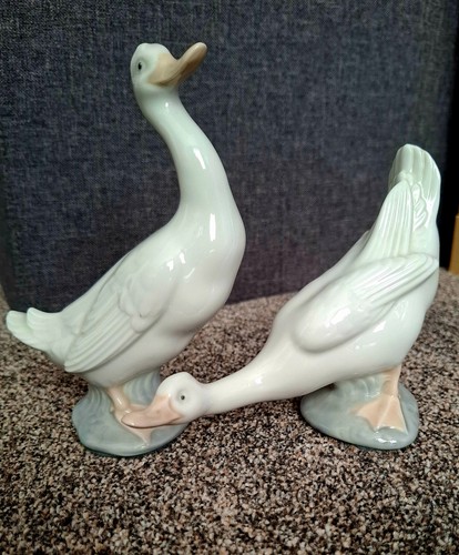 Lladro ducks pair - ducks,
