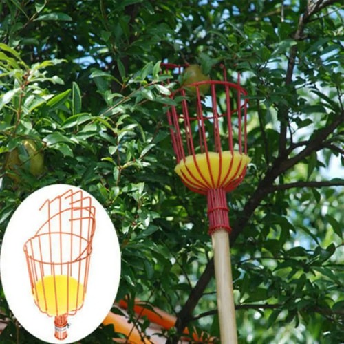 Telescopic fruit picker - fruit,
