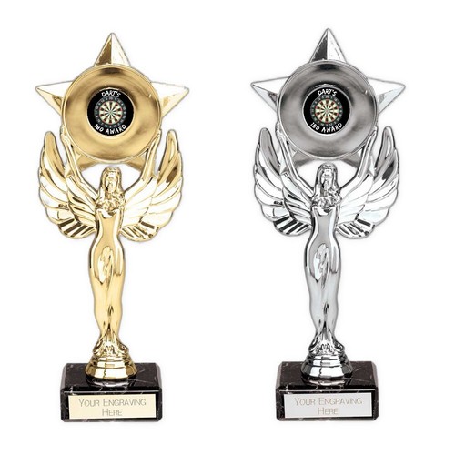 Darts 180 award victory star - 180,