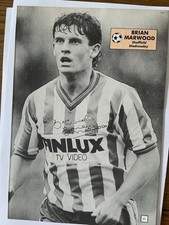 BRIAN MARWOOD  Sheffield Wednesday  Signed Book Picture.