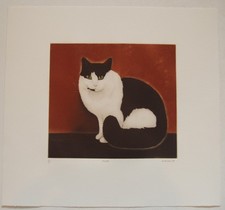 Martin Leman Cat Print Original Etching "Panda" by Renown British Artist
