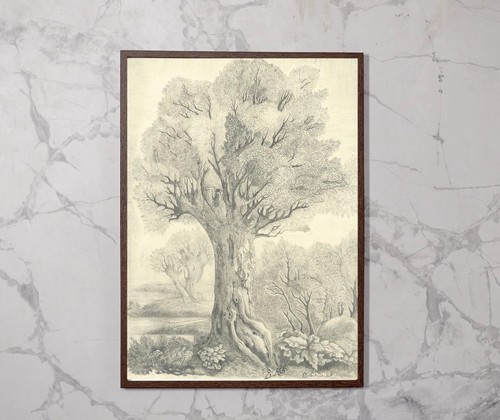 Original pencil tree drawing - original,