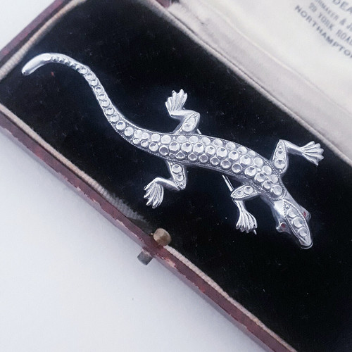 Vintage staybrite lizard - staybrite,