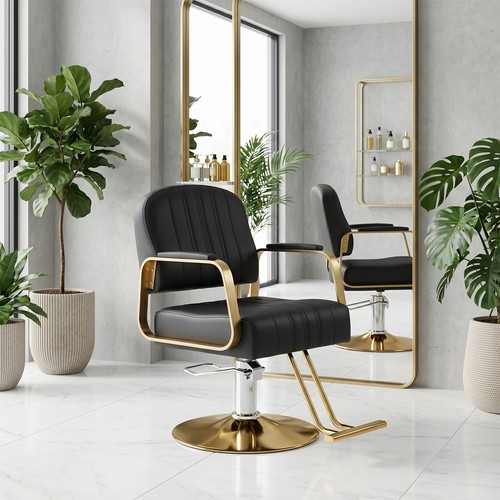 Professional barber chair - barber,