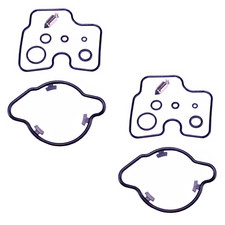 2x Carburetor Repair Kit for