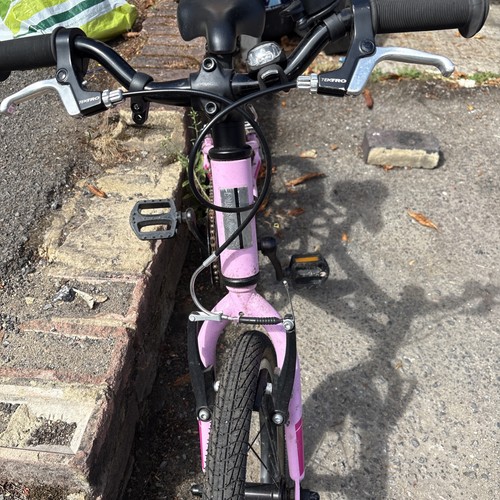 Pinnacle koto pink - 16,