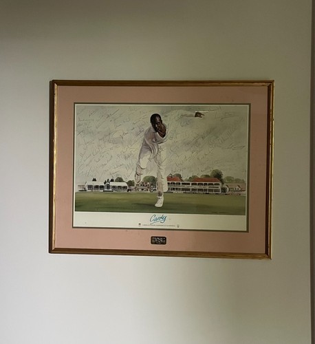 Framed cricket picture - , of