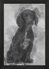 Working Cocker Spaniel sit