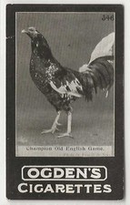 OGDENS TABS-SERIES C 1902-#C346- CHAMPION OLD ENGLISH GAME 