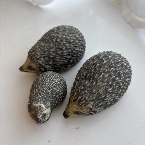 Trio hedgehogs - hedgehogs,
