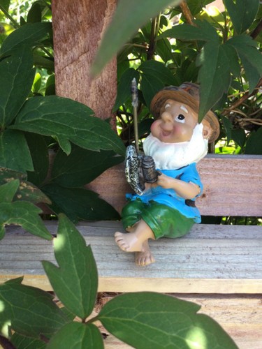 Cute whimsical garden - cute, gnome