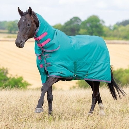 Shires tempest 100g combo - shires,