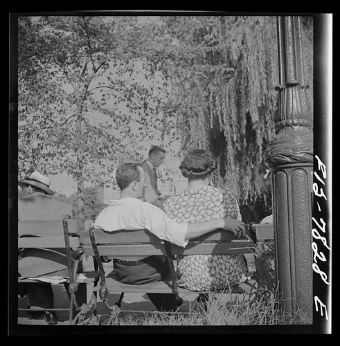 Photo new york central park - york,