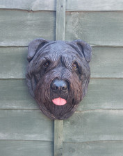 BIG PAINTED  STONE BOUVIER DES