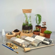 DIY Terrarium Kit with Plants