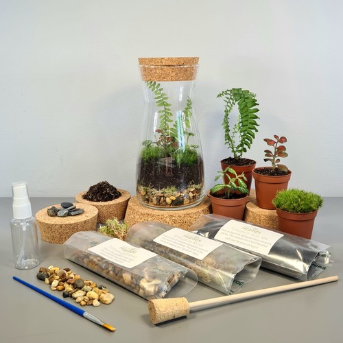 Diy terrarium kit with plants - terrarium,