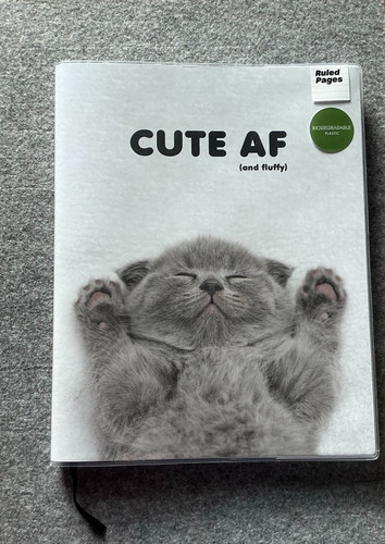 Paperchase cute fluffy - paperchase, cat