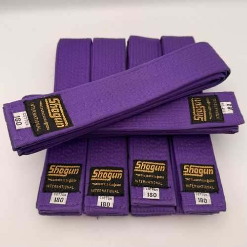Shogun martial arts belt - martial,