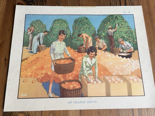Vintage 1950s macmillan - vintage,