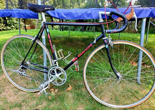 Bianchi sport road - bianchi, bike