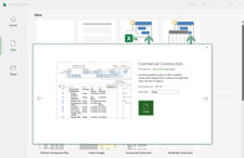 MS Project Professional +