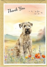 Soft Coated Wheaten Terrier