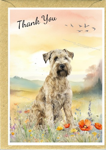 Soft coated wheaten terrier - coated,