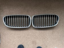 BMW F10 F11 Genuine Kidney