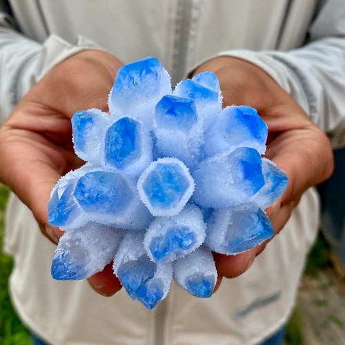 338g new find blue - find, phantom