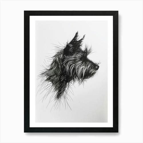 Australian terrier line - terrier,