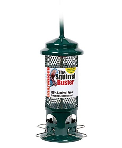 Squirrel proof bird feeder - proof,