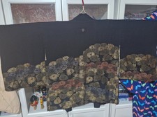 Haori76 Japanese Vintage Kimono Black Haori Jacket Gold Kiku