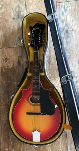 Vintage 1970 ibanez 513 - 1970's,