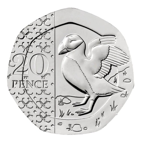 Rare nifc 2025 king - nifc,
