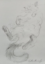 Original pencil drawing sketch