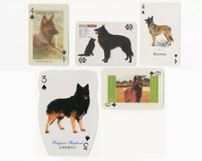 BELGIAN SHEPHERD DOG