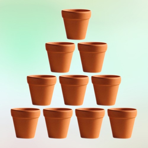 20x planter succulent nursery - planter,