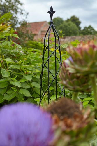 Garden obelisk climbing metal - climbing,