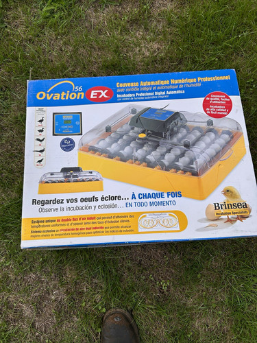 Brinsea ovation egg - ovation, ex