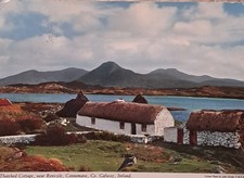 Vintage Postcard  Thatched