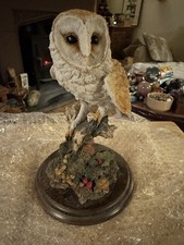 Barn Owl Country Artists Ca262